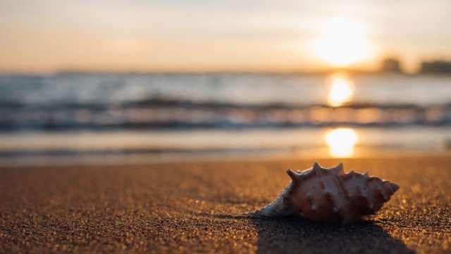 Poszczególne amerykańskie stany powoli zaczynają luzować restrykcje związane z epidemią koronawirusa. Na Florydzie powiatowe władze decydują się na otwieranie plaż.