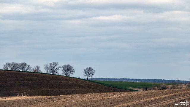 Hydrolog z Państwowej Akademii Nauk profesor Paweł Rowiński mówił w Polskim Radiu 24, że opady deszczu nie rozwiążą problemu suszy w Polsce.