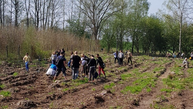 40 milionów drzew w marcu i kwietniu posadzili leśnicy w lasach regionu. To głównie sosny, dęby i buki - informuje Regionalna Dyrekcja Lasów Państwowych w Szczecinie.
