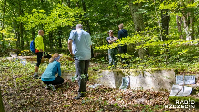 Zdjęcia niemieckiego sanatorium i obrazy malowane korą, kawą i herbatą na wystawie w Puszczy Bukowej.