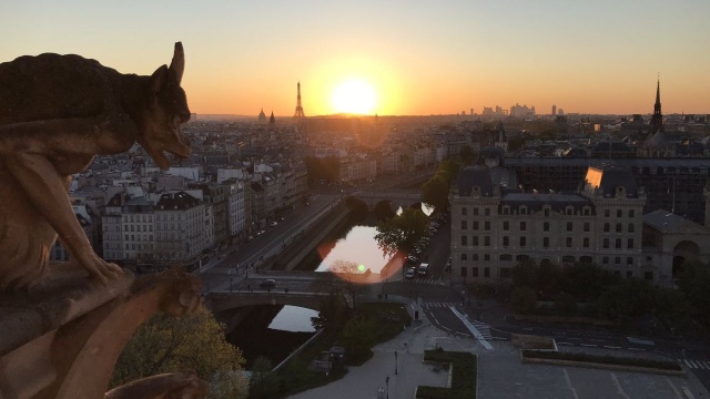 Otwarto dziedziniec przed katedrą Notre Dame w Paryżu. Był on nieczynny od chwili pożaru, który częściowo zniszczył świątynię.