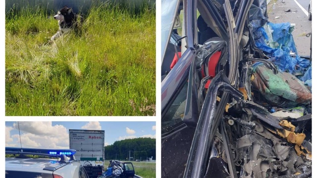 Na co dzień ratują ludzi, ale jak trzeba to pomagają także zwierzętom. To ratownicy z Wojewódzkiej Stacji Pogotowia Ratunkowego w Szczecinie.