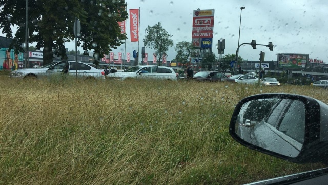 Pada deszcz, jezdnie są śliskie i zrobiło się bardzo niebezpiecznie.