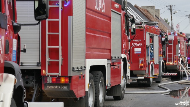 19 wozów trafi do jednostek strażackich w Zachodniopomorskiem. Nowe samochody otrzymają m.in. OSP Stara Dąbrowa, Dobra, Dębice i Kozielice.