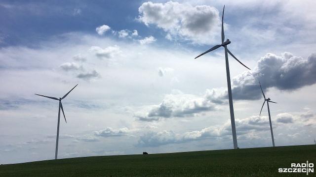 Ich łączna moc to blisko 100 MW, koszt - prawie pół miliarda złotych. Dwie farmy wiatrowe otwarto w czwartek w miejscowościach Starza i Karnice w powiatach kamieńskim i gryfickim. Na polach stanęły 43 wiatraki.