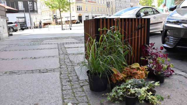 Zmiany na ulicy Rayskiego w Szczecinie. Jak informuje miasto, ulica ma być bardziej przyjazna dla pieszych. Zmiany wprowadzono po konsultacjach z przedsiębiorcami.