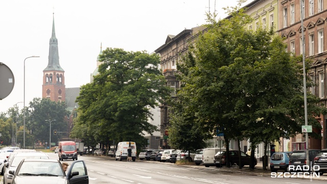 Od dyskusji o atakujących drzewa grzybach, przez analizę stanu zacienienia alei Wojska Polskiego, po rozmowę o ewentualnych zmianach istniejącego projektu przebudowy ulicy - szczecińscy radni przez ponad trzy godziny zastanawiali się co zrobić z petycją Społecznej Straży Ochrony Przyrody. Efekt - każdy został przy swoim i nie zapadły żadne decyzje.