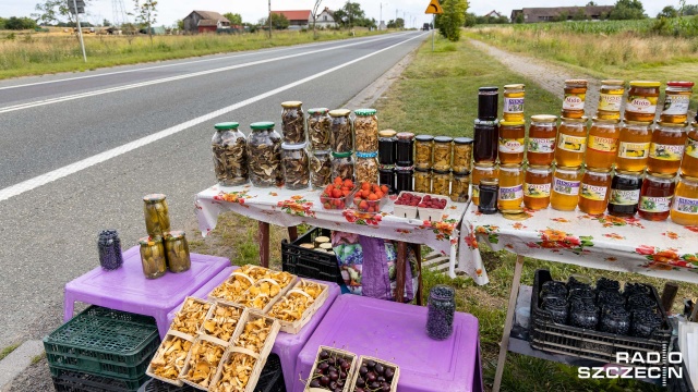 Na trasach prowadzących nad morze nie brakuje sprzedawców jagód. Za litr tych owoców trzeba zapłacić nie mniej niż 20 zł.