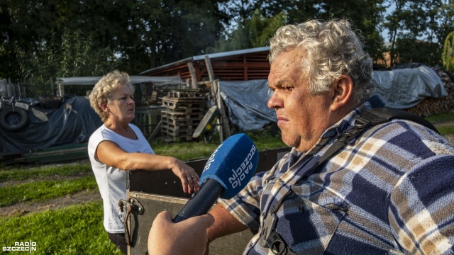 Gospodarz z Morynia stracił sześć owiec, a siódma padła od odniesionych ran. Jest przekonany, że zwierzęta zostały zagryzione przez wilki.