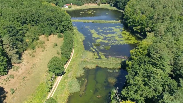 Na Pomorzu Zachodnim powstał nowy park krajobrazowy - to już siódmy w naszym regionie.
