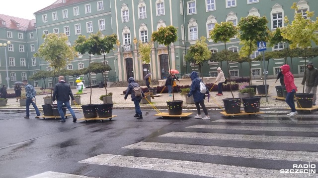 Pomimo niesprzyjającej pogody ulicami Szczecina po raz kolejny przeszła Parada Wędrujących Drzew.