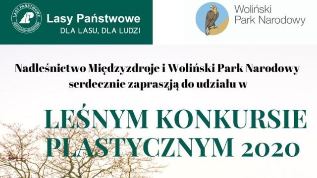 Szyszki, susz albo liście - to wszystko może przydać się w konkursie plastycznym ogłoszonym przez Nadleśnictwo Międzyzdroje i Woliński Park Narodowy.