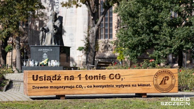 Nietypowa ławka stanęła w Chojnie. Ma zwracać uwagę na ogromne zdolności absorpcji dwutlenku węgla z atmosfery przez lasy.