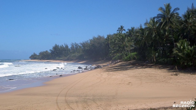Hawaje z powodu pandemii były do tej pory stanem praktycznie zamkniętym dla turystów. Lokalne władze wprowadziły właśnie specjalny program, aby mogli oni wrócić na wyspy. To niezbędne, aby cały region zaczął ponownie zarabiać.