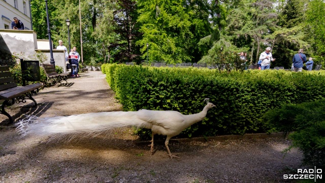 Spór o ogród w Przelewicach. Radni sejmiku zdecydowali