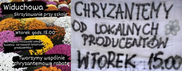 Mieszkańcy Widuchowej umawiają się we wtorek na zakupy chryzantem, aby wesprzeć lokalnych ogrodników.