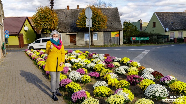 Kolejne miejscowości w regionie są ukwiecone chryzantemami. To efekt pomocy dla handlarzy kwiatów, którzy z powodu zamknięcia cmentarzy obawiali się o swoje biznesy.