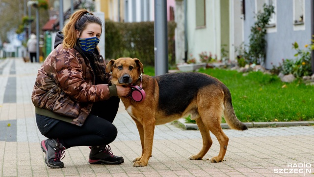 Zapas karmy wartości 500 zł, darmowe szczepienie i kastracja. W ten sposób gmina Stepnica zachęca do adopcji psów. To się po prostu opłaca, bo samo oddanie psa do schroniska kosztuje już na starcie 1000 złotych.