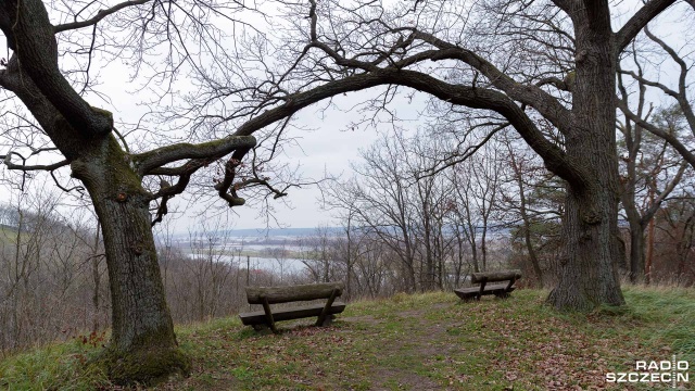 Park krajobrazowo-naturalistyczny Dolina Miłości w Zatoni Dolnej, który obecnie jest pod opieką Federacji Zielonych Gaja, chciałaby przejąć gmina Chojna.