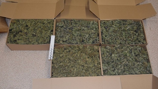 W swoim samochodzie przewoził 5 kg narkotyków. Został zatrzymany przez policję. To 26-latek ze Szczecinka.
