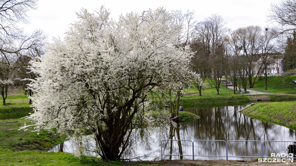 Fot. Robert Stachnik [Radio Szczecin]