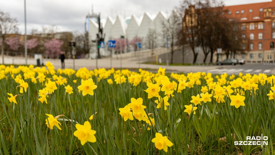 Fot. Robert Stachnik [Radio Szczecin]