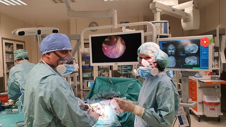 Fot. www.facebook.com/fundacjaaniolylubiazywioly