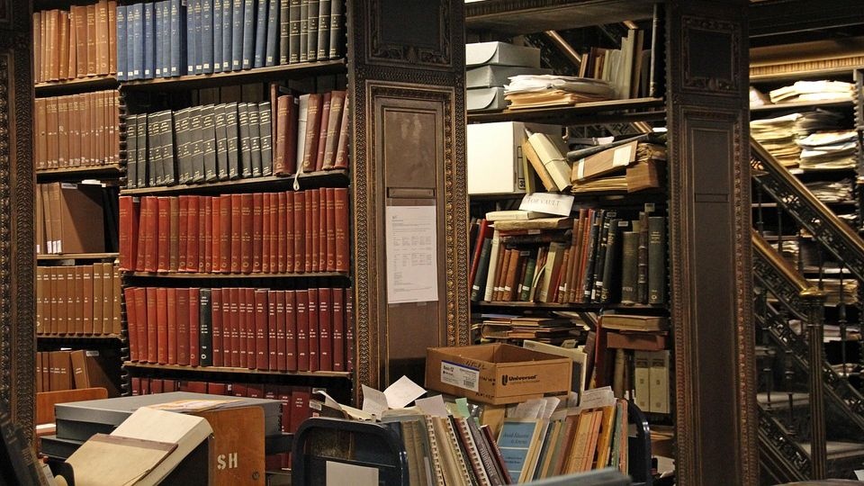 Nowojorska placówka jest jedną z największych bibliotek publicznych na świecie. Jej zbiory przekraczają 53 miliony książek i innych eksponatów. źródło: https://pixabay.com/pl/1388386/MonicaVolpin/(CC0 domena publiczna)