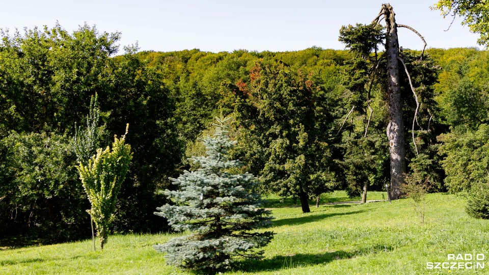 Arboretum kończy sezon turystyczny 31 października, czyli w najbliższą sobotę. Fot. Robert Stachnik [Radio Szczecin]