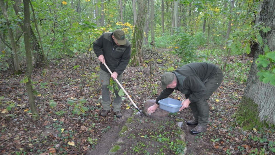 Akcje sprzątania grobów będą odbywały się cyklicznie przez cały rok. źródło: Regionalna Dyrekcja Lasów Państwowych w Szczecinie