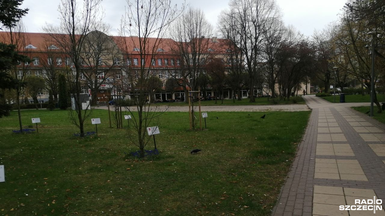 Obelisk katyński powinien stanąć na kołobrzeskim cmentarzu czy w centrum miasta Taki spór trwa w mieście od miesięcy, a jego końca nie widać. Konieczna może okazać się interwencja wojewody.