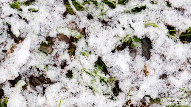 Hiszpania zmaga się z atakiem zimy. Meteorolodzy ostrzegają przed mrozem i śniegiem w 14 regionach kraju, a w górach przed lawinami.