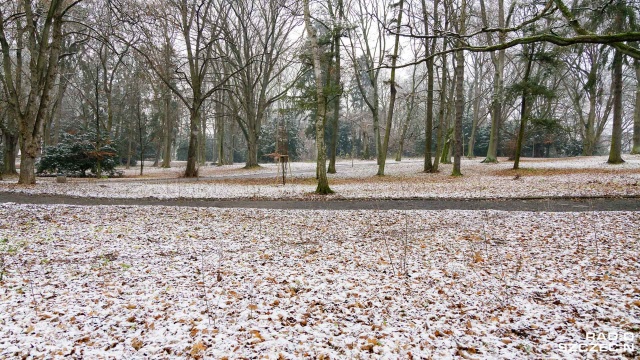 Bestia ze wschodu, czyli głośno zapowiadany w mediach syberyjski mróz dochodzący do minus 30 stopni i obfity śnieg, do nas nie dotrze. Bo potwór nie istnieje.