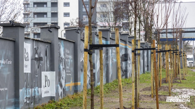 Szczeciński oddział Polskiej Spółki Gazownictwa zwróci się do władz miasta, aby przesadzono drzewa posadzone przed muralem upamiętniającym polskich wynalazców, który znajduje się przy ulicy Chmielewskiego.