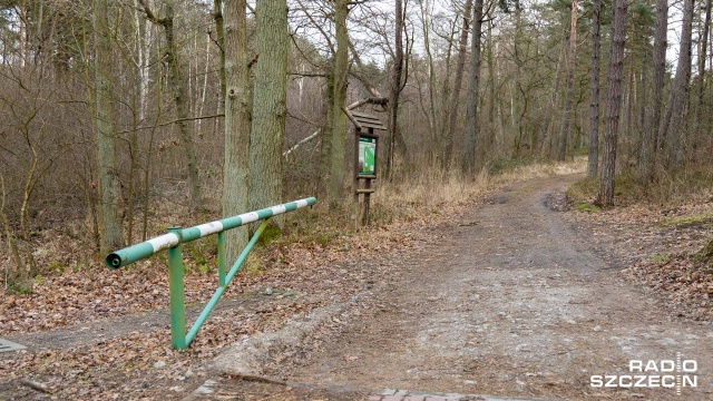 Regionalna Dyrekcja Ochrony Środowiska nie przekreśla planów na ścieżkę rowerową łączącą Świnoujście i Międzyzdroje, ale stawia swoje warunki. Chodzi o ochronę wydm szarych, lasów mieszanych i borów na wydmach nadmorskich.