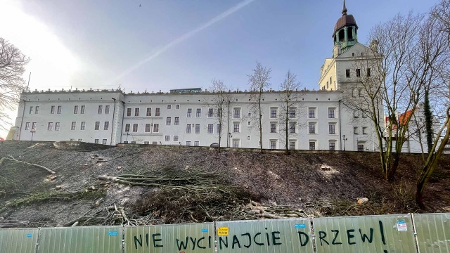 Wycinka drzew i krzewów na skarpie przy Zamku Książąt Pomorskich zakończona.