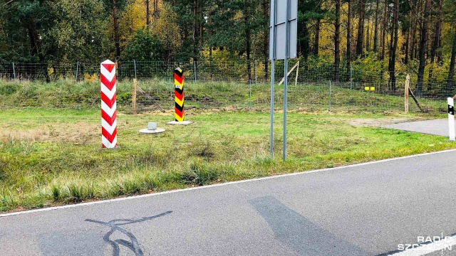 Niemiecki Federalny Instytut ds. Leków i Produktów Medycznych wydał zgodę na wprowadzenie na rynek i powszechne stosowanie tak zwanych szybkich testów na koronawirusa.