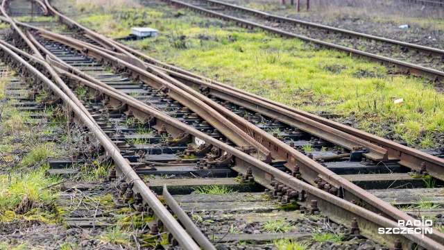 Pociąg z Rzeszowa do Szczecina zderzył się z lokomotywą na stacji Grodzisko Dolne w województwie podkarpackim. Rannych jest pięć osób: trzech pasażerów i dwóch maszynistów.