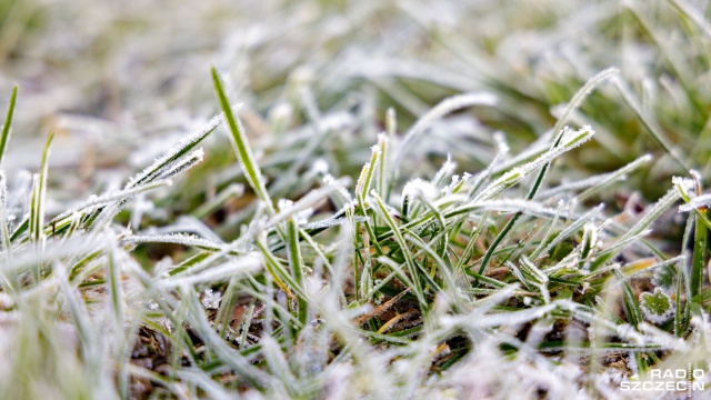 Instytut Meteorologii i Gospodarki Wodnej prognozuje, że w najbliższych dniach czeka nas ochłodzenie. To efekt frontu atmosferycznego, który tej nocy napłynie do Polski z północy.