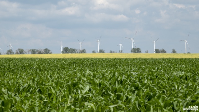 Ustawa odległościowa, dotycząca budowy farm wiatrowych na lądzie, ma być zliberalizowana. Ministerstwo Rozwoju, Pracy i Technologii przygotowało projekt zmian w tym dokumencie.
