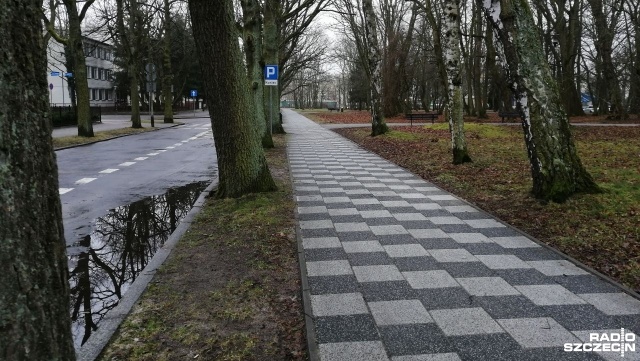 Jesiony, topole i buki - to tylko część gatunków drzew, które zostaną wkrótce wycięte z kołobrzeskich ulic i parków. Miasto po analizie zdecydowało, że wiosną przeprowadzi wycinkę.