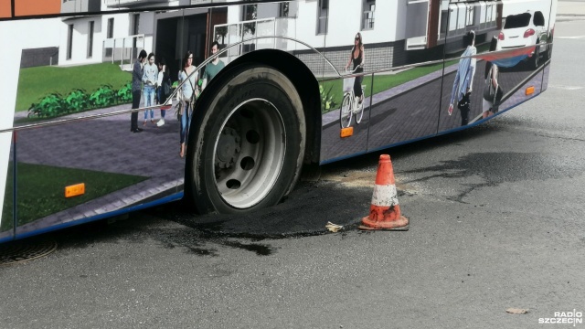 Asfalt zapadł się pod autobusem Komunikacji Miejskiej w Kołobrzegu.