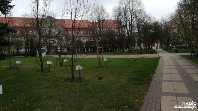 Kołobrzescy urzędnicy planują konsultacje społeczne. Chcą zapytać mieszkańców, czy w centrum miasta powinien stanąć obelisk poświęcony ofiarom zbrodni katyńskiej.
