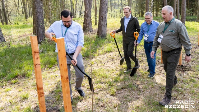 W piątek w ramach akcji Łączą nas drzewa posadzono w Pogorzelicy aleję lipową.