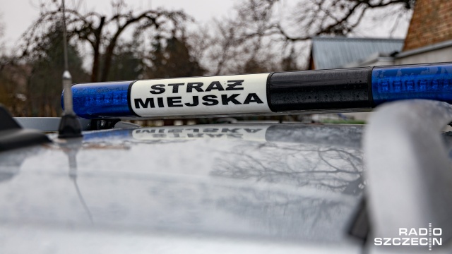 Strażnicy miejscy uratowali koziołka, który utknął w metalowym płocie.
