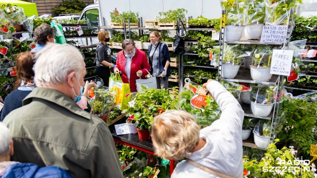 Na szczecińskich Wałach Chrobrego trwa kiermasz Pamiętajcie o ogrodach.