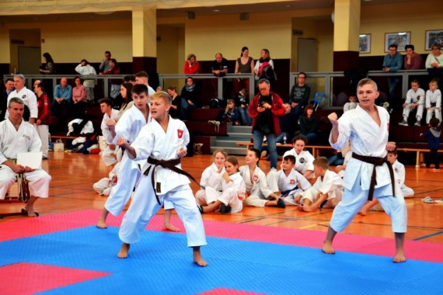Osiem medali: trzy złote, dwa srebrne i trzy brązowe - zdobyli zawodnicy klubu Bushikan Szczecin w Mistrzostwach Świata w karate WKA On Line.