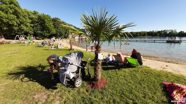 Palmy prosto z Albanii stanęły na miejskiej plaży w Choszcznie.
