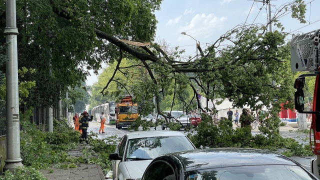Ulewa i wiatr przyczynami interwencji straży pożarnej. Połamane drzewa są na pięciu ulicach w Szczecinie. To: Niemierzyńska, Słowackiego, Krasińskiego, Fałata, Wichrowa i Ogińskiego. Na szczęście nikomu nic się stało.
