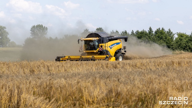 To nie będą dobre zbiory - prognozują rolnicy. Za to odpowiada przede wszystkim kapryśna pogoda. Właściciele gospodarstw skarżą się, że i tak w tym roku niewysokie zyski uszczuplą podwyżki nawozów, środków ochrony roślin i maszyn.